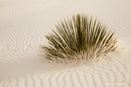 White Sands Image 1