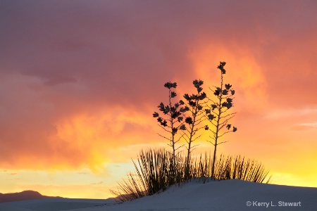 White Sands Image 8