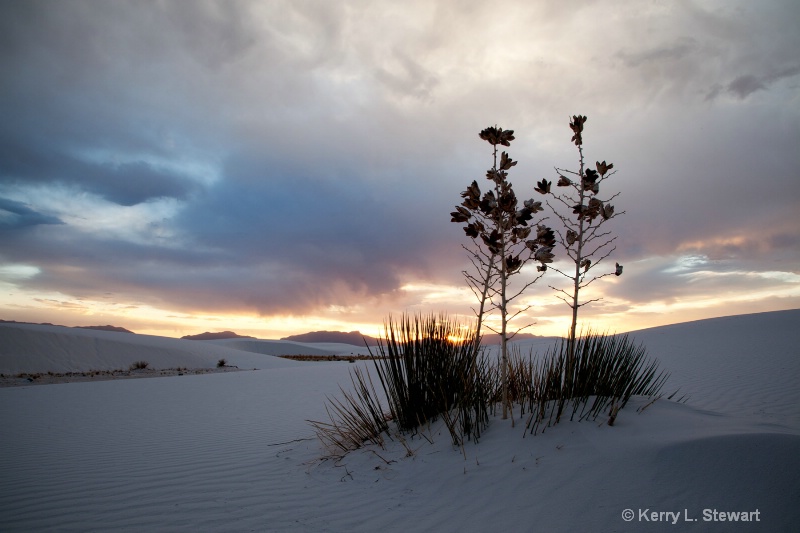 White Sands Image 7 - ID: 12962168 © Kerry L. Stewart