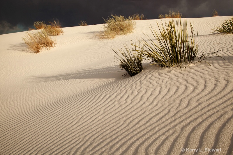 White Sands Image 4 - ID: 12962170 © Kerry L. Stewart