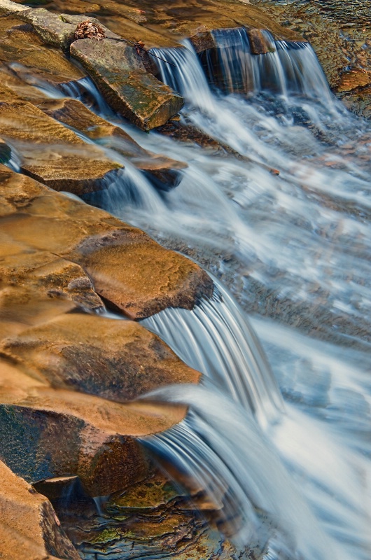 South Chagrin Reservation II