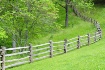 Spring Fence