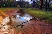 Bush puddles