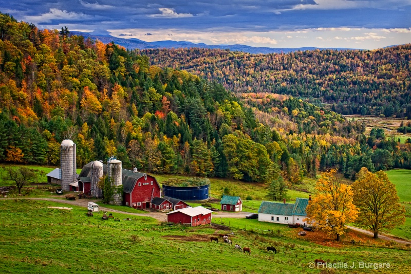 Hillside Acres Farm