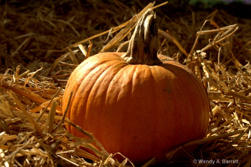 Hay &  pumpkin - ID: 12964324 © Wendy A. Barrett
