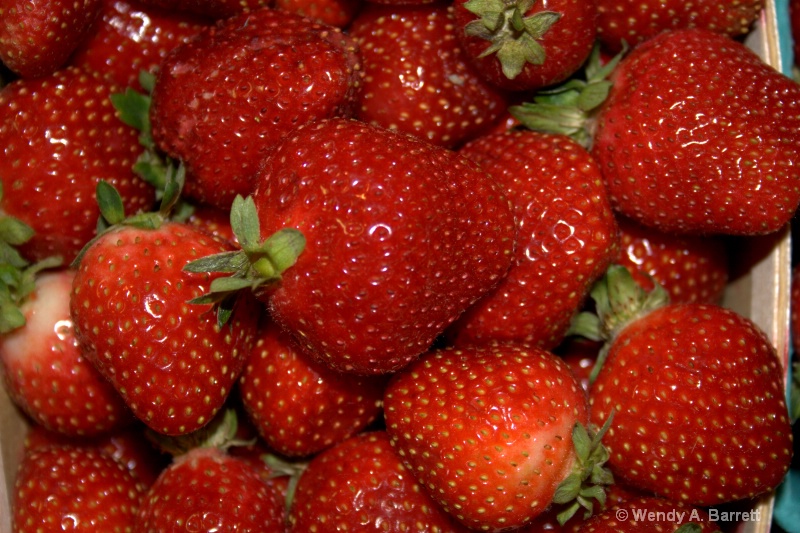 Strawberries - ID: 12964330 © Wendy A. Barrett