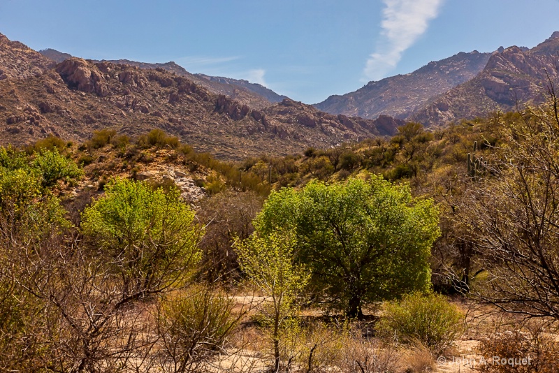  mg 1182 Sonoran Desert Catalina Mountains - ID: 12964877 © John A. Roquet