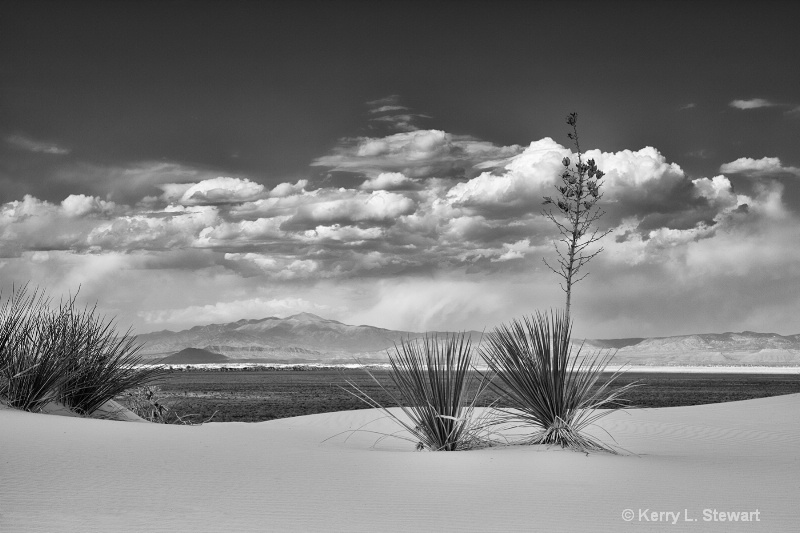 White Sands Image 1