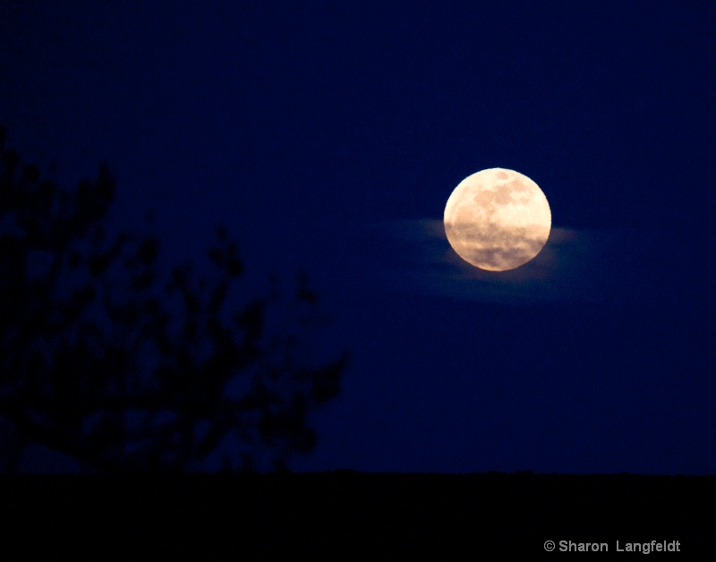 Super Moon And Wispy Clouds - ID: 12965623 © Sharon L. Langfeldt