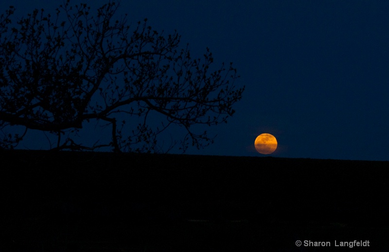 May 2012 Super Moon just above the horizon