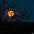© Sharon L. Langfeldt PhotoID # 12965634: Super Moon May 2012