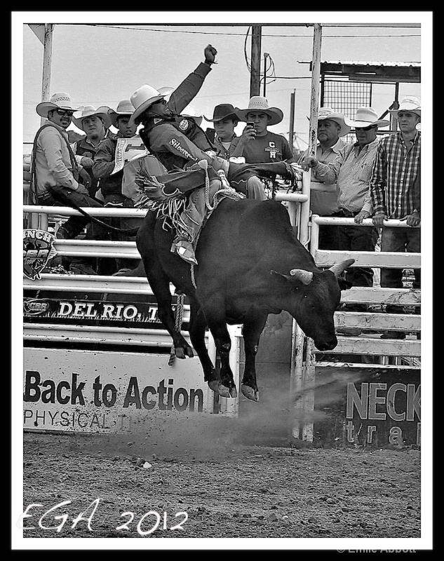 Bull Riding George Paul Memorial Style