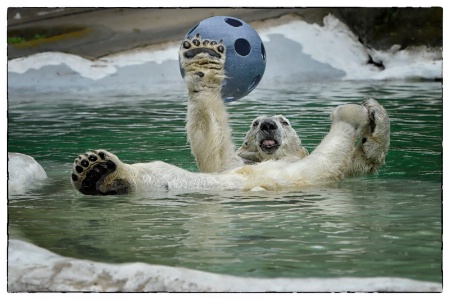 Water Soccer !