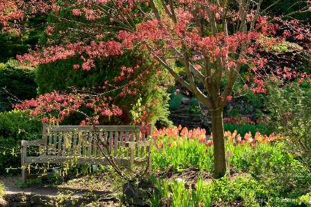 Royal Botanical Gardens, Burlington, ON