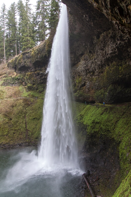 South Falls @ Silver Falls State Park