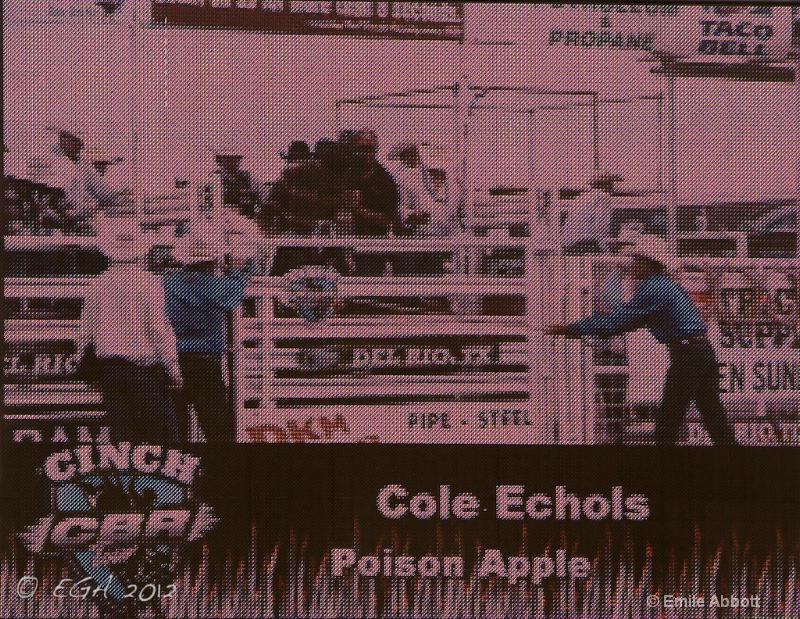 Cole Echols on Poison Apple - ID: 12974052 © Emile Abbott