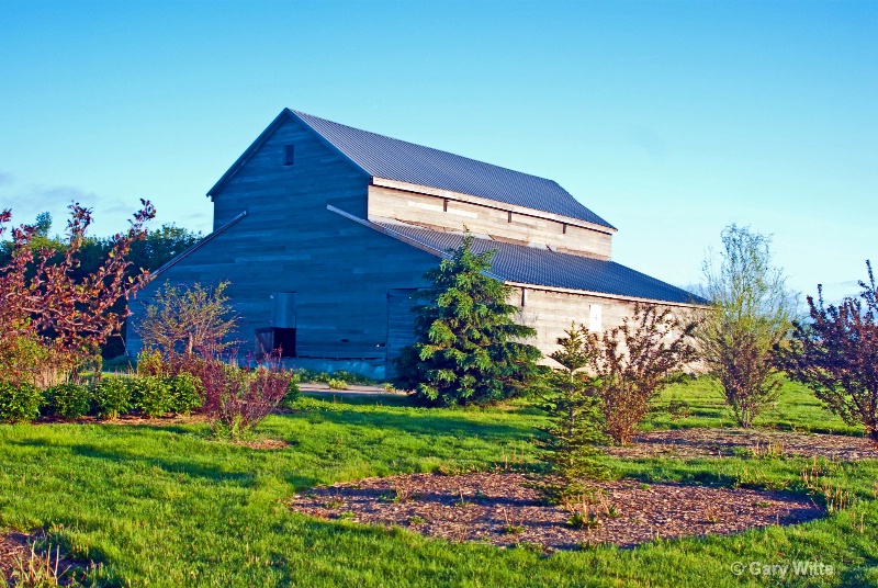 Garden's Morning Light 