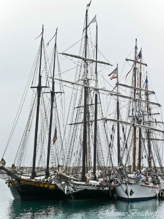 "T" is for Tall Ships
