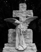 The Angel