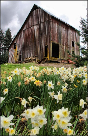 Oregon Springtime