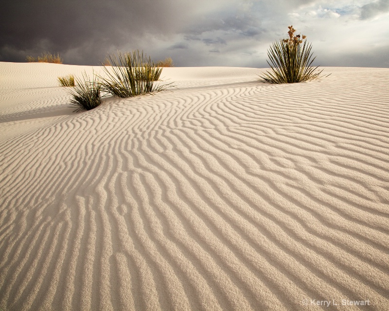 White Sands Image 10 - ID: 12979036 © Kerry L. Stewart