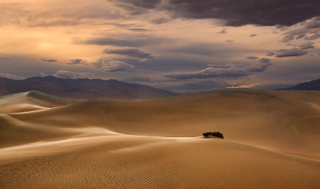 Mesquite Flat Sand Dunes