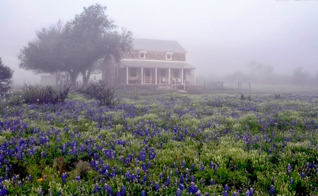 It was a foggy morning in March