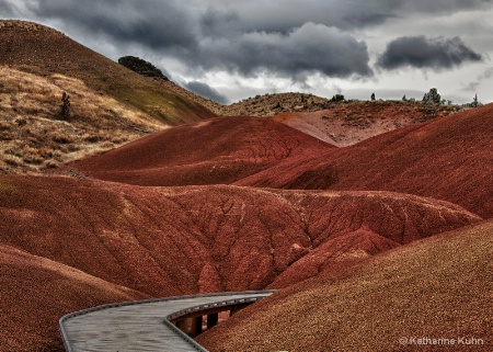 Into the Painted Hills
