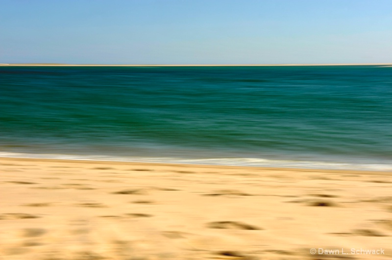 Beach - Panning - ID: 12980122 © Dawn Schwack