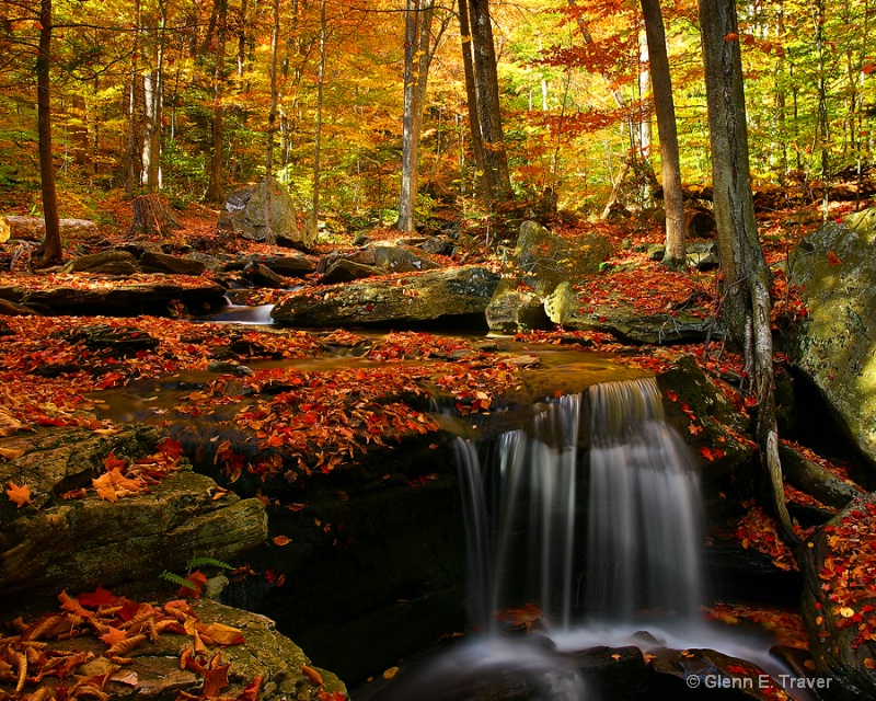 Leaves of Autumn