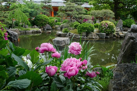 Garden of the Thousand Buddhas