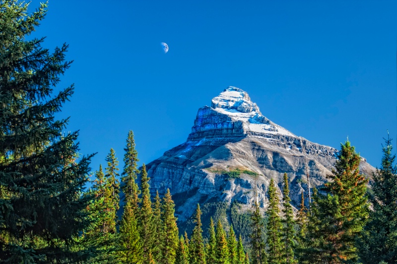 Rocky Mountain Moon