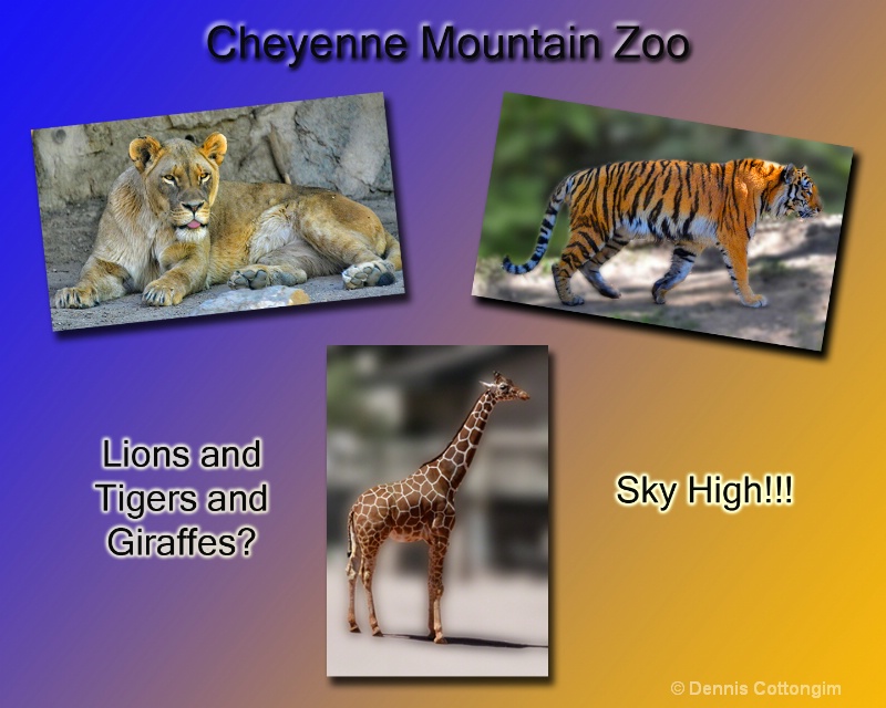 Cheyenne Mountain Zoo Revisited