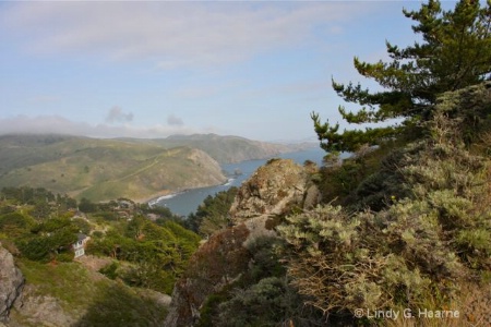 Muir Beach