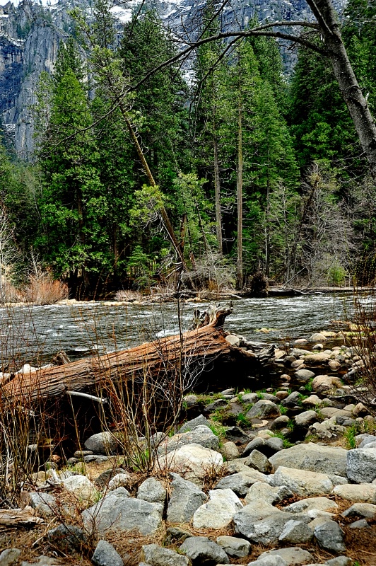 Yosemite Runoff