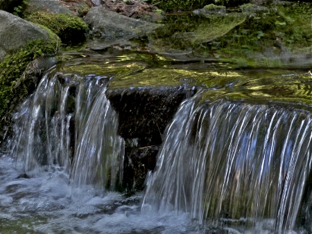 Fern Spring