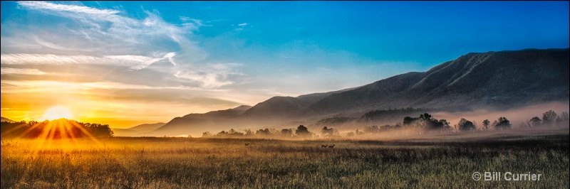 Cades Cove Misty Morning - ID: 12987034 © Bill Currier