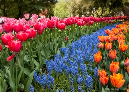 Spring Flow
