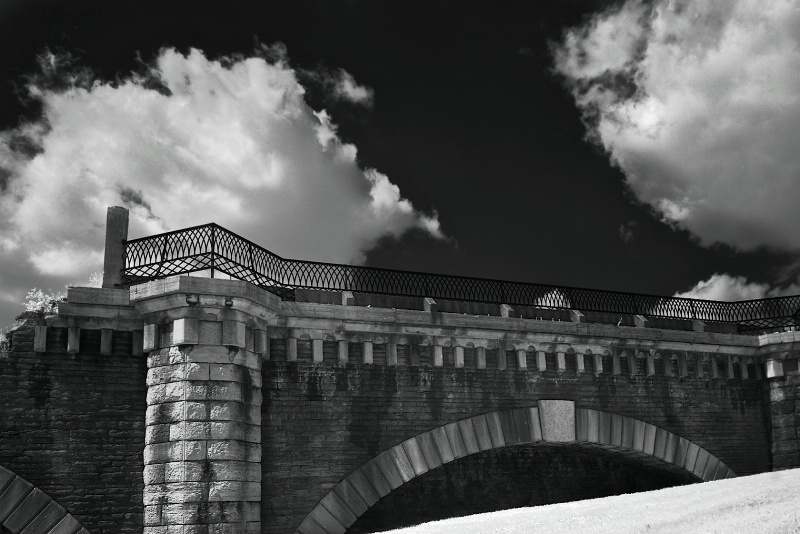 Eden Park Wall (Infrared)