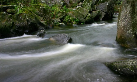 Misty Waters