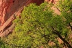 Garden Spring