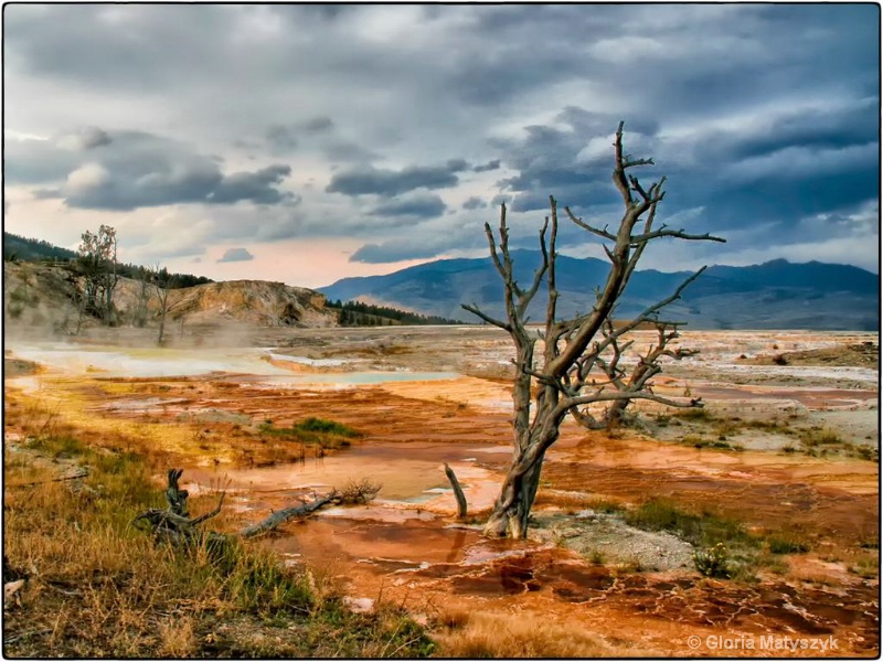 Mammoth Hot Springs Yellowstone National Park - ID: 12995789 © Gloria Matyszyk
