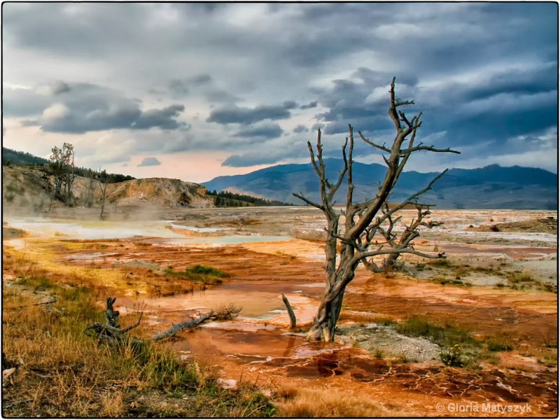 Mammoth Hot Springs Yellowstone National Park