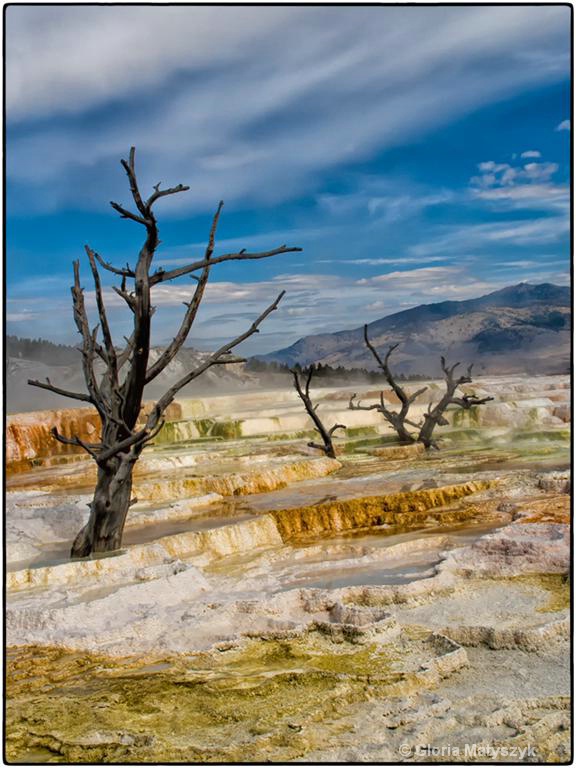 Mammoth Hot Springs Yellowstone National Park - ID: 12995790 © Gloria Matyszyk