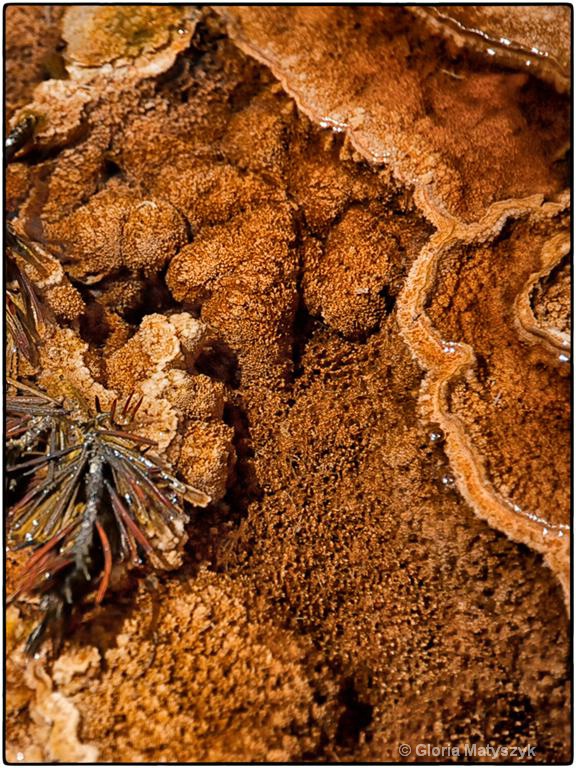 Mammoth Hot Springs close-up of minerals - ID: 12995792 © Gloria Matyszyk