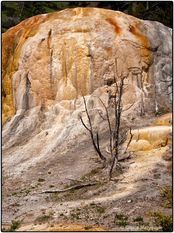 Mammoth Hot Springs, Yellowstone National Park - ID: 12995795 © Gloria Matyszyk