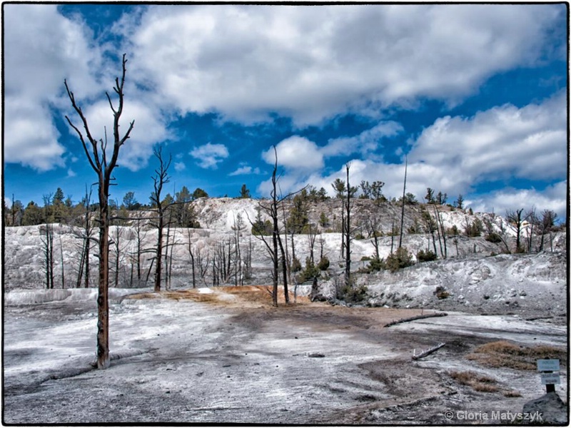 Mammoth Hot Springs, Yellowstone National Park - ID: 12995798 © Gloria Matyszyk