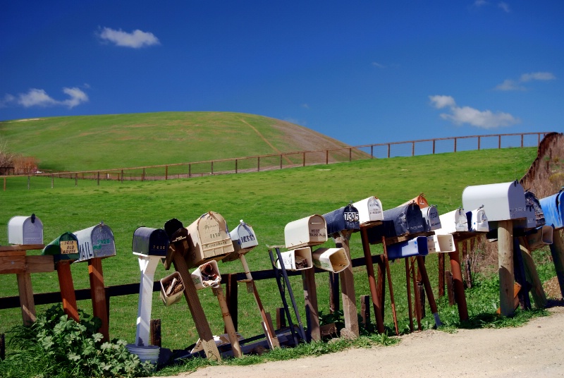 Roadside Mailbox Gang