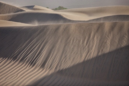 Sand Dunes