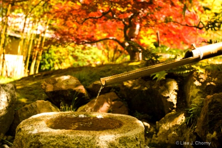 Japanese Garden Fountain